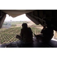 Hélicoptères Sikorsky CH-53 du détachement allemand survolant un paysage afghan.