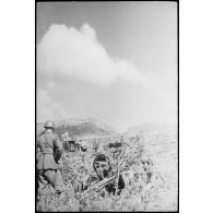 Des obusiers camouflés (de 75/18 modèle 35) et des servants de la 20e division d'infanterie italienne Friuli sont en position au col de Teghime, en appui des troupes françaises. Il s'agit probablement d'une pièce d'artillerie appartenant à un groupe du 35e régiment d'infanterie.