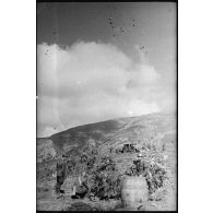 Des obusiers camouflés (de 75/18 modèle 35) et des servants de la 20e division d'infanterie italienne Friuli sont en position au col de Teghime, en appui des troupes françaises. Il s'agit probablement d'une pièce d'artillerie appartenant à un groupe du 35e régiment d'infanterie.
