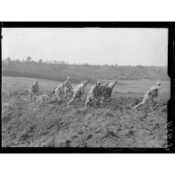 Boissicourt (Oise). Manoeuvre d'un 75 T. Son déplacement dans un terrain labouré par les torpilles. [légende d'origine]