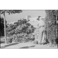 Le caméraman Hermann Dressler filme la ville de Rhodes à l'aide d'une Arriflex.