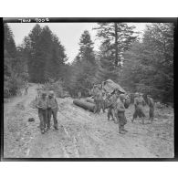 Les chars Sherman du 2e RC en forêt.