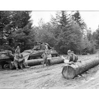 Les chars Sherman du 2e RC en forêt.
