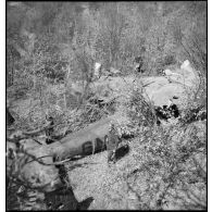 Les restes de la dérive de l'avion de reconnaissance allemand abattu sont photographiés en plan général.