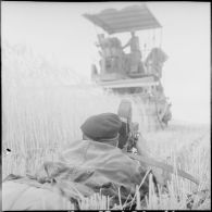 Un cameraman du SCA d'Alger filme des travailleurs agricoles.