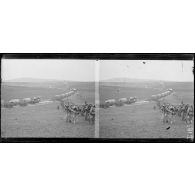 Devant Nixéville. Troupes revenant du feu (de Vaux) et partant au repos. [légende d'origine]