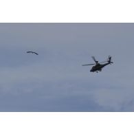 Un hélicoptère d'attaque britannique sécurise une zone à Amari, en Estonie.