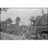 Elements logistiques de la 290e division d'infanterie allemande comme le précise l'insigne en forme de glaive.