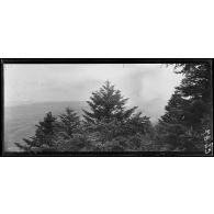 Région de Saint Dié. Vosges. Cote 878. Panorama vers le Climont. [légende d'origine]