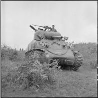 Progression d'une colonne de chars Sherman M4A3.