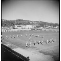 Séance d'instruction militaire et sportive.