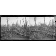 Aux premières maisons de Souchez, conciergerie du château de Carieul. [légende d'origine]