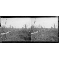 Parc du château de Carieul (Pas-de-Calais). [légende d'origine]