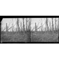 Parc du château de Carieul (Pas-de-Calais). [légende d'origine]