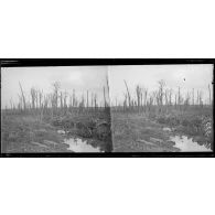 Parc du château de Carieul (Pas-de-Calais). [légende d'origine]