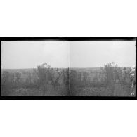 Vue sur Carency prise de la cote SO de Souchez (sur la colline, le fameux cimetière de Carency). [légende d'origine]