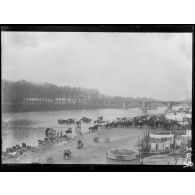 Toul. Baignade de chevaux dans la Meuse. [légende d’origine]