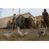 Des instructeurs du Service de santé des armées (SSA) encadrent le montage d'un module sanitaire par des stagiaires burkinabè à Dori, au Burkina Faso.