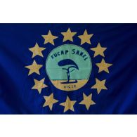 Insigne de l'European capacity (EUCAP) à Ouallam, au Niger.