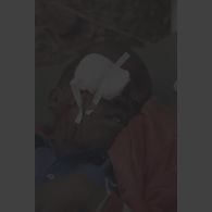 Portrait d'un enfant avec un bandage à l'oeil, lors de l'évacuation sanitaire de ressortissants rwandais blessés de Kibeho par l'élément militaire médical d'intervention rapide (EMMIR).