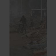 Un militaire zaïrois à vélo longe les cadavres abandonnés rangés au bord de la route au poste-frontière de Goma-Gisenyi.