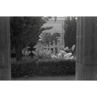 Des tombes allemandes dans le secteur de Cassino (Latium).