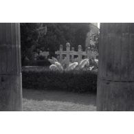 Des tombes allemandes dans le secteur de Cassino (Latium).