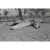La carcasse d'un chasseur Lockheed P-38 Lightning.