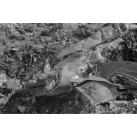 La carcasse d'un chasseur Lockheed P-38 Lightning.