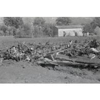La carcasse d'un chasseur Lockheed P-38 Lightning.