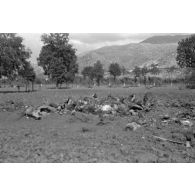La carcasse d'un chasseur Lockheed P-38 Lightning.