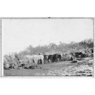 Bivouac à Nubécourt. [légende d'origine]<br>