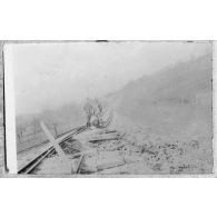 Un beau pruneau sur la voie. [légende d'origine]<br>