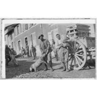 Des cochons volés. C'est le ? du 1er corps, on ne s'embête pas. [légende d'origine]