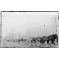 Il fait un froid de canard, tout le monde à pied. [légende d'origine]