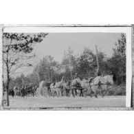 Les étapes pour Verdun dans la neige. [légende d'origine]<br>