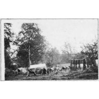 Echelons. [légende d'origine]