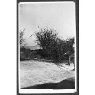 Patinage. [légende d'origine]