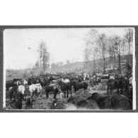 Blanzy les Fismes. Les échelons. [légende d'origine]