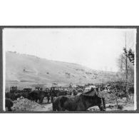 Blanzy les Fismes. Les échelons. [légende d'origine]