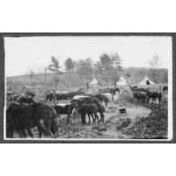 Echelons  Aisne. [légende d'origine]