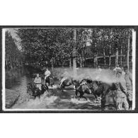 L'abreuvoir. [légende d'origine]