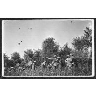 Travailleurs néo-zélandais. Les Flandres. [légende d'origine]