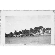 Des pièces de rechange arrivent. [légende d'origine]