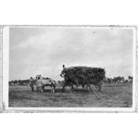 Fourragère embourbée. [légende d'origine]