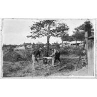 Les ordonnances scient du bois. [légende d'origine]