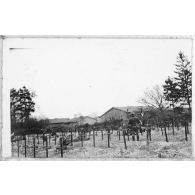 Le cimetière de Croix en Champagne. [légende d'origine]