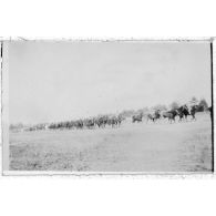 A l'abreuvoir. [légende d'origine]