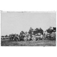 Départ d'un canon. [légende d'origine]
