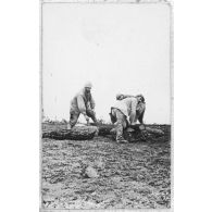 On scie des rondins. [légende d'origine]